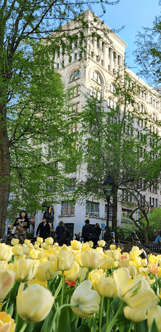 Edificio con arboles